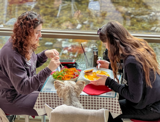 Kotor’s Best: Fresh Flavors & Views at Resto Bar Taraca