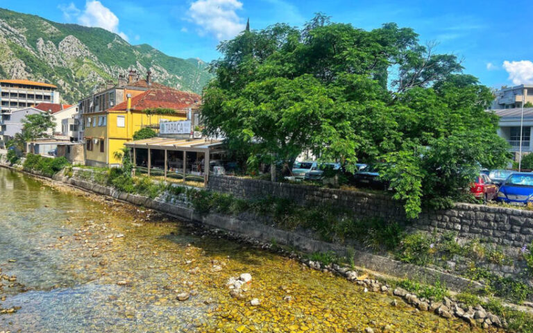 Best restaurants in kotor